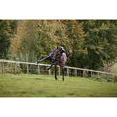 Amigo Turnout Plus 1200D 100g Burgundy/Navy/Titanium Grey Amigo Turnout Plus 1200D 100g Burgundy/Navy/Titanium Grey