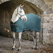 Amigo Jersey Cooler Dynasty Green/Navy/Silver Amigo Jersey Cooler Dynasty Green/Navy/Silver