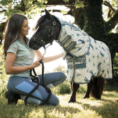 Amigo Bug Rug Plus Petite Dragonfly Print/Silver/Blue/Sage Amigo Bug Rug Plus Petite Dragonfly Print/Silver/Blue/Sage