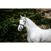 Horseware Zaum Pony Flash Schwarz Horseware Zaum Pony Flash Schwarz