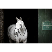 Rambo Micklem Bitless Bridle Schwarz Rambo Micklem Bitless Bridle Schwarz