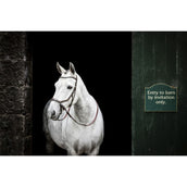 Horseware Micklem Bitless Bridle Braun Horseware Micklem Bitless Bridle Braun