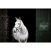 Horseware Micklem Bitless Bridle Braun Horseware Micklem Bitless Bridle Braun