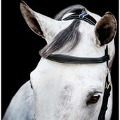 Rambo Micklem Multi Bridle New Schwarz Rambo Micklem Multi Bridle New Schwarz