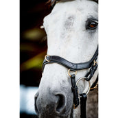 Rambo Micklem Multi Bridle New Schwarz Rambo Micklem Multi Bridle New Schwarz