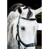 Rambo Micklem Multi Bridle New Schwarz Rambo Micklem Multi Bridle New Schwarz