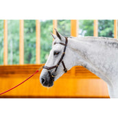 Rambo Micklem Multi Bridle New Dark Havana Rambo Micklem Multi Bridle New Dark Havana