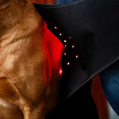 Horseware Pet Leg Wraps LED Red Light Therapy Pair Schwarz/Schwarz Horseware Pet Leg Wraps LED Red Light Therapy Pair Schwarz/Schwarz