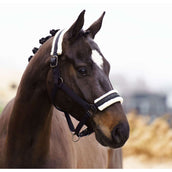 Imperial Riding Halfter IRHJewel Schwarz Imperial Riding Halfter IRHJewel Schwarz