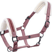 Imperial Riding Halfter IRHJewel Mauve Imperial Riding Halfter IRHJewel Mauve