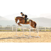 LeMieux Schabracke Suede Close Contact Square Springen Macaron LeMieux Schabracke Suede Close Contact Square Springen Macaron