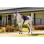 LeMieux Schabracke Mini Suede Close Contact Square Springen Mallow LeMieux Schabracke Mini Suede Close Contact Square Springen Mallow