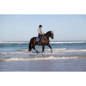 LeMieux Schabracke Loire Classic Square Dressur Powder Blue LeMieux Schabracke Loire Classic Square Dressur Powder Blue