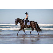 LeMieux Schabracke Loire Classic Square Dressur Powder Blue LeMieux Schabracke Loire Classic Square Dressur Powder Blue