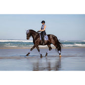 LeMieux Schabracke Loire Classic Square Dressur Powder Blue LeMieux Schabracke Loire Classic Square Dressur Powder Blue