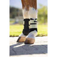 LeMieux Gamaschen Mini Air-Tek Macaron LeMieux Gamaschen Mini Air-Tek Macaron