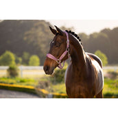 LeMieux Halfter Versailles Mallow LeMieux Halfter Versailles Mallow