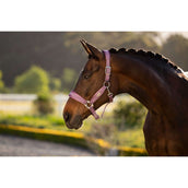 LeMieux Halfter Versailles Mallow LeMieux Halfter Versailles Mallow