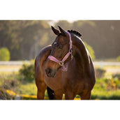 LeMieux Halfter Versailles Mallow LeMieux Halfter Versailles Mallow