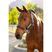 LeMieux Halfter Capella Powder Blue LeMieux Halfter Capella Powder Blue