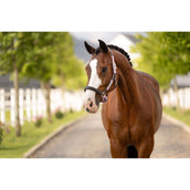 LeMieux Halfter Capella Fondant LeMieux Halfter Capella Fondant