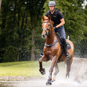 Kavalkade Vorderzeug Jerome 2-Punkt Braun Kavalkade Vorderzeug Jerome 2-Punkt Braun
