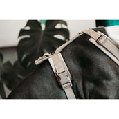 Kentucky Geschirr Active Velvet Beige Kentucky Geschirr Active Velvet Beige