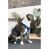 Kentucky Geschirr Active Velvet Navy Kentucky Geschirr Active Velvet Navy