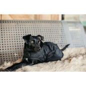 Kentucky Hundejacke Original Royal Schwarz Kentucky Hundejacke Original Royal Schwarz