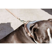 Kentucky Kragen Teddy Fleece Altrosa Kentucky Kragen Teddy Fleece Altrosa