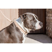 Kentucky Kragen Teddy Fleece Altrosa Kentucky Kragen Teddy Fleece Altrosa