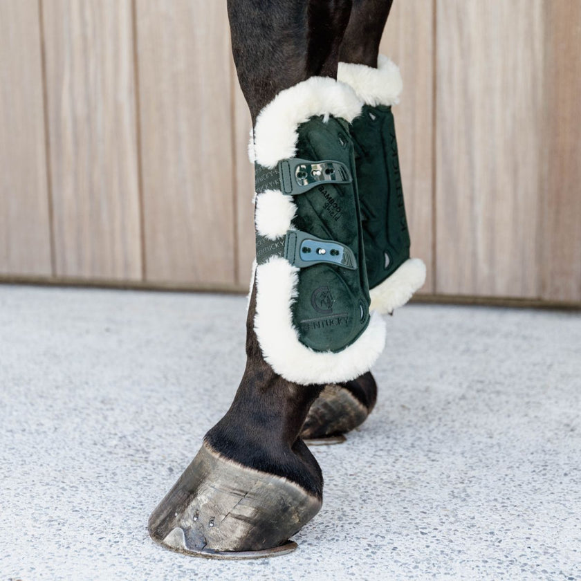 Kentucky Sehnenschutz Bamboo Elastic Velvet Vegan Bunt Dunkel grün Kentucky Sehnenschutz Bamboo Elastic Velvet Vegan Bunt Dunkel grün