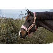 Kentucky Horsewear Halfter Velvet Glitter Unicorn Altrosa Kentucky Horsewear Halfter Velvet Glitter Unicorn Altrosa