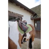 Kentucky Horsewear Schabracke Softshell Onion Quilt Springen Khaki/Altrosa Kentucky Horsewear Schabracke Softshell Onion Quilt Springen Khaki/Altrosa