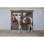 Kentucky Horsewear Schabracke Softshell Onion Quilt Springen Beige/Altrosa Kentucky Horsewear Schabracke Softshell Onion Quilt Springen Beige/Altrosa