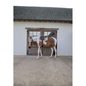 Kentucky Horsewear Schabracke Softshell Onion Quilt Springen Beige/Altrosa Kentucky Horsewear Schabracke Softshell Onion Quilt Springen Beige/Altrosa