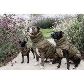 Kentucky Hundedecke Winter Pina 160g Pine Green Kentucky Hundedecke Winter Pina 160g Pine Green