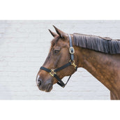 Kentucky Halfter Nylon Breakaway Schwarz Kentucky Halfter Nylon Breakaway Schwarz