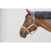 Kentucky Halfter Nylon Breakaway Altrosa Kentucky Halfter Nylon Breakaway Altrosa