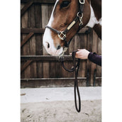 Kentucky Führstrick Loop Braun Kentucky Führstrick Loop Braun