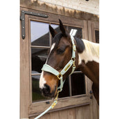 Kentucky Halfter Velvet Mint Kentucky Halfter Velvet Mint