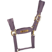 Kentucky Halfter Velvet Violett Kentucky Halfter Velvet Violett
