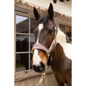 Kentucky Halfter Velvet Lila Kentucky Halfter Velvet Lila