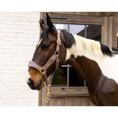 Kentucky Halfter Velvet Lila Kentucky Halfter Velvet Lila