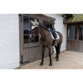 Kentucky Fliegenhaube Wellington Velvet Horse Printing Beige Kentucky Fliegenhaube Wellington Velvet Horse Printing Beige