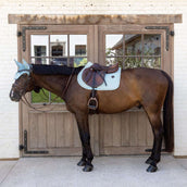 Kentucky Schabracke Velvet Flags Springen Hellblau Kentucky Schabracke Velvet Flags Springen Hellblau