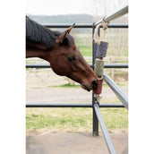 Grooming Deluxe by Kentucky Relax Horse Toy Wooden Freedom Grooming Deluxe by Kentucky Relax Horse Toy Wooden Freedom