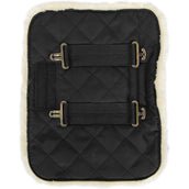 Kentucky Brustverlängerung 2 Kupplungsverschlussen Schwarz Kentucky Brustverlängerung 2 Kupplungsverschlussen Schwarz