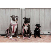 Kentucky Geschirr Teddy Fleece Altrosa Kentucky Geschirr Teddy Fleece Altrosa