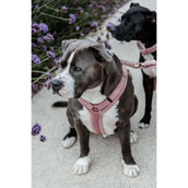 Kentucky Geschirr Teddy Fleece Altrosa Kentucky Geschirr Teddy Fleece Altrosa